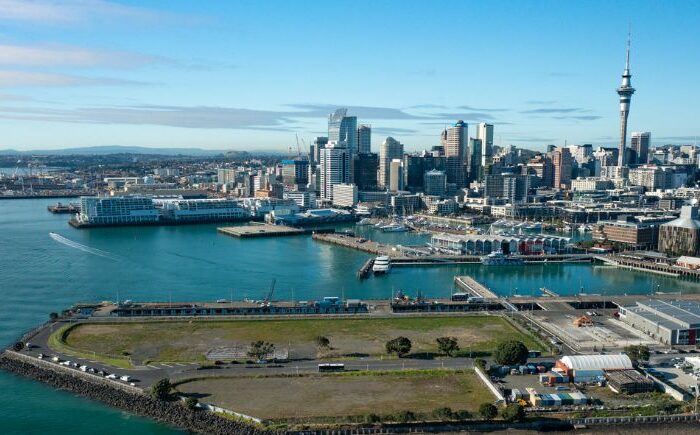 State of Auckland review highlights lack of plan