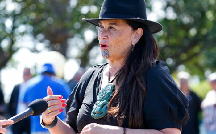 Māori attacks mask wider change agenda