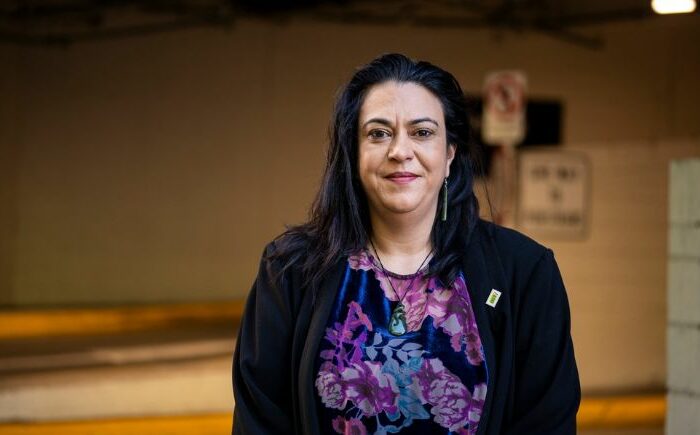 Stay in lane Māori lawyers tell minister Jones
