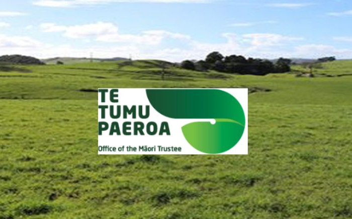 Ruth Russell | Te Tumu Paeroa Chief information Officer