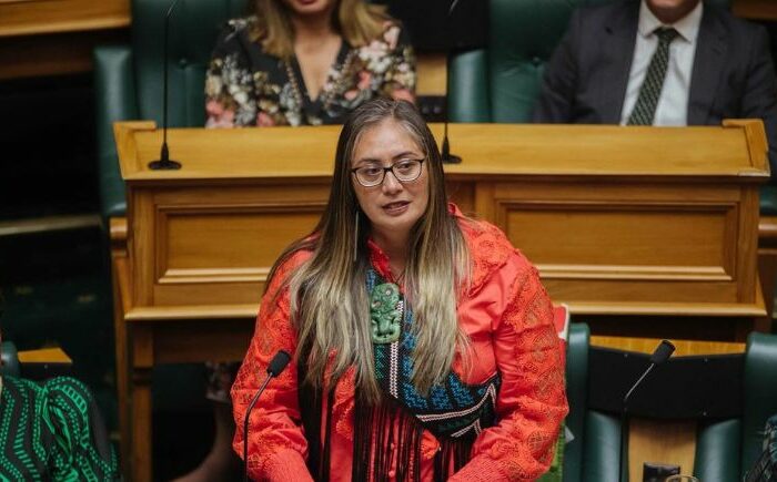 Māori land grab bill gets airing