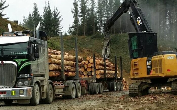 Holiday for forestry ETS levies