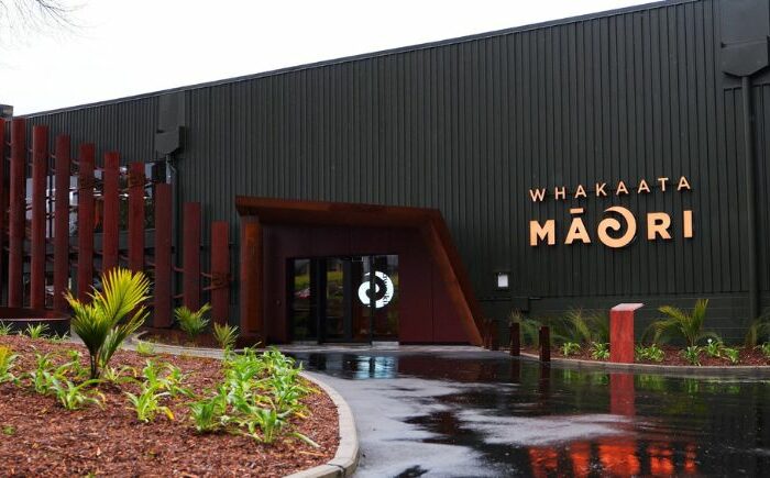 Whakaata Māori funding call premature