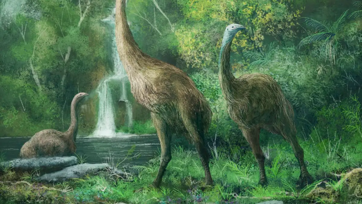 #nature: Artificial Moa Egg Sparks Fierce Scientific Debate In Aotearoa